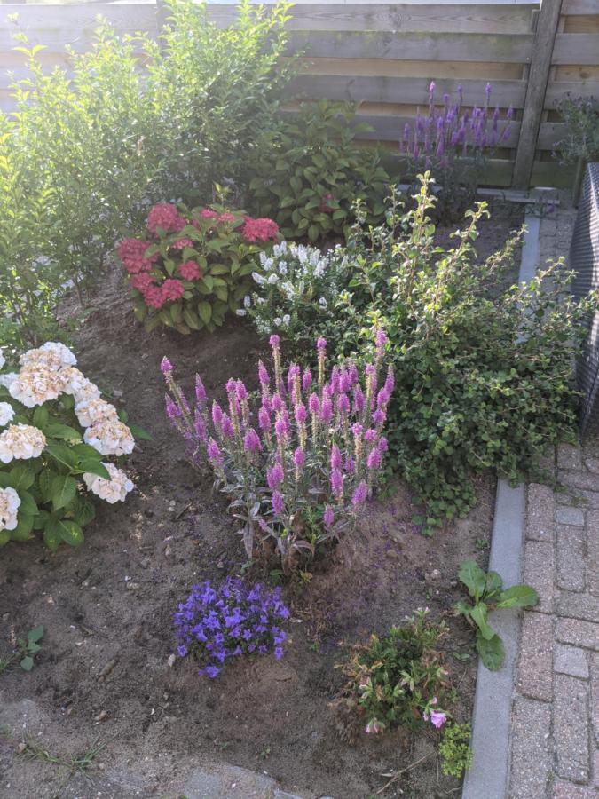 Logies21 Texel Bed and Breakfast Oosterend  Εξωτερικό φωτογραφία